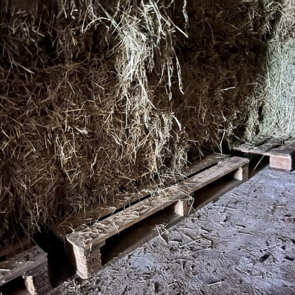 in der Halle auf Paletten eingelagert