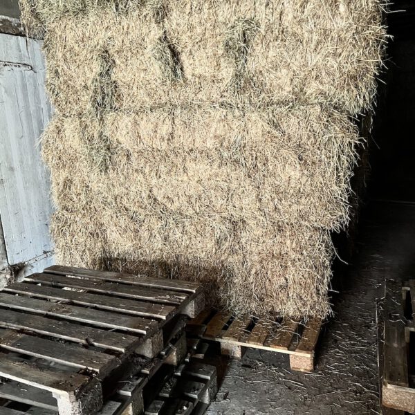in der Halle auf Paletten eingelagert